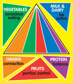 The food pyramid